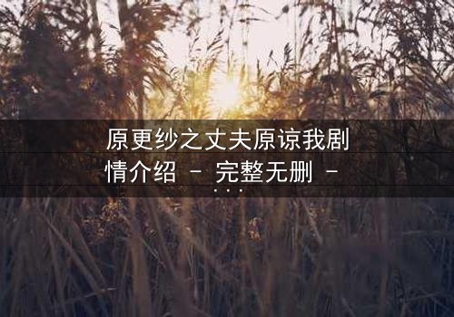 原更纱之丈夫原谅我剧情介绍 - 完整无删 - 当背叛的真相撕裂婚姻,谁才是真正的受害者?