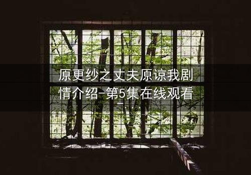 原更纱之丈夫原谅我剧情介绍-第5集在线观看 - 婚姻背叛后的救赎之路