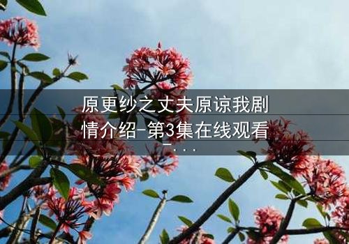 原更纱之丈夫原谅我剧情介绍-第3集在线观看 - 一场婚姻的生死抉择