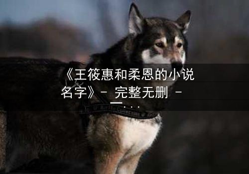 《王筱惠和柔恩的小说名字》- 完整无删 - 一场跨越时空的爱恨纠葛