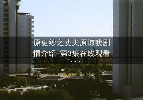 原更纱之丈夫原谅我剧情介绍-第3集在线观看 - 真相揭晓,丈夫的抉择令人心碎