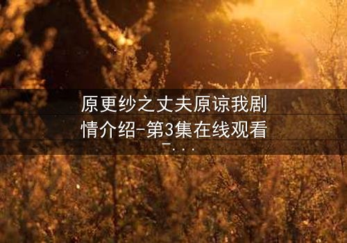 原更纱之丈夫原谅我剧情介绍-第3集在线观看 - 当背叛的真相撕裂婚姻,谁能为爱赎罪?