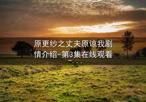 原更纱之丈夫原谅我剧情介绍-第3集在线观看 - 一场婚姻的救赎风暴