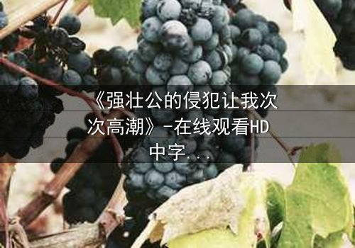 《强壮公的侵犯让我次次高潮》-在线观看HD中字 - 免费1080P超清