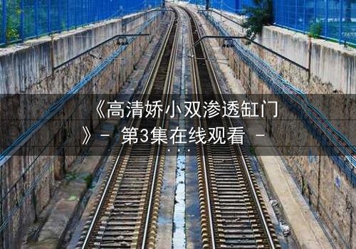 《高清娇小双渗透缸门》- 第3集在线观看 - 一场颠覆认知的视觉冒险