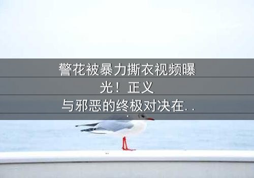 警花被暴力撕衣视频曝光!正义与邪恶的终极对决在线观看-当法律的外衣被撕碎,真相能否幸存?
