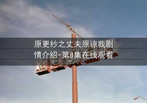 原更纱之丈夫原谅我剧情介绍-第8集在线观看 - 当背叛的真相撕裂婚姻,谁才是最后的赢家?