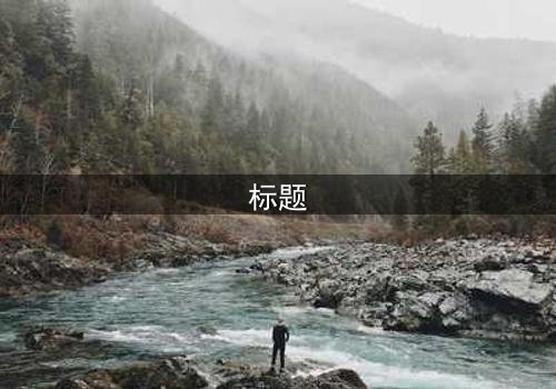 标题