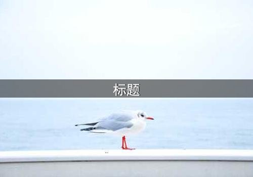 标题