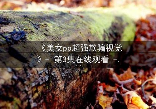 《美女pp超强欺骗视觉》- 第3集在线观看 - 当完美假象开始崩塌