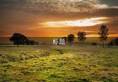 标题
