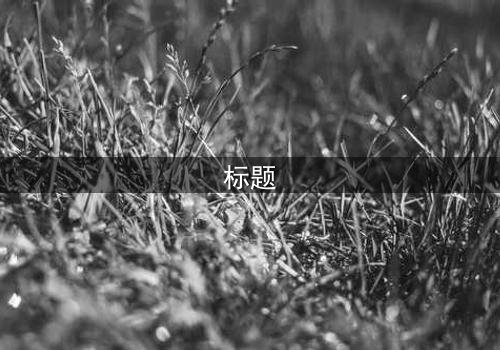 标题