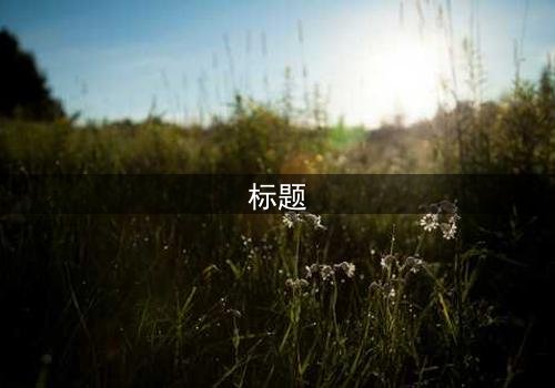 标题