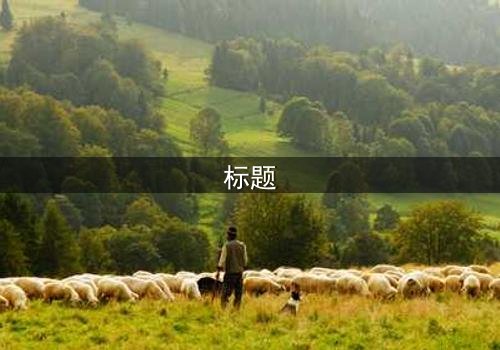 标题