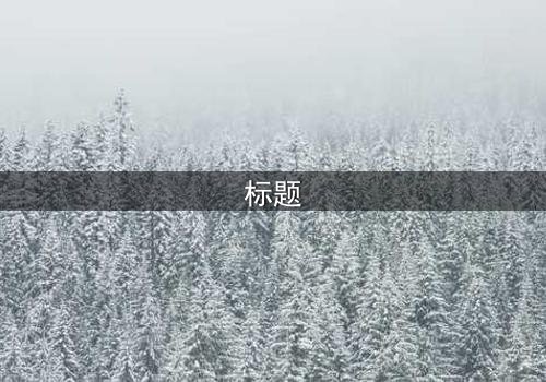 标题