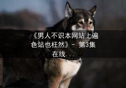 《男人不识本网站上遍色站也枉然》- 第3集在线观看 - 一场颠覆认知的视觉盛宴