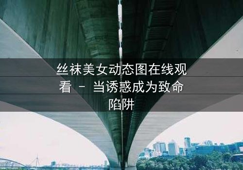 丝袜美女动态图在线观看 - 当诱惑成为致命陷阱