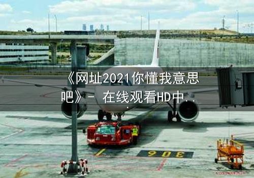 《网址2021你懂我意思吧》- 在线观看HD中字完整无删 - 当代码成为救赎的唯一钥匙