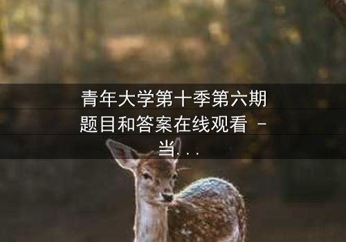 青年大学第十季第六期题目和答案在线观看 - 当知识竞赛变成生死考验,你敢挑战吗?