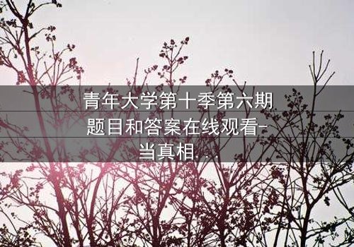 青年大学第十季第六期题目和答案在线观看-当真相与谎言交织,谁能全身而退?