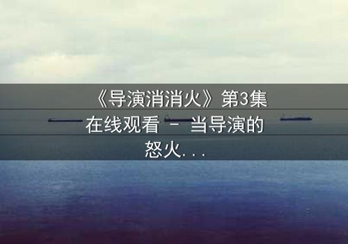 《导演消消火》第3集在线观看 - 当导演的怒火点燃,谁能扑灭这场风暴?