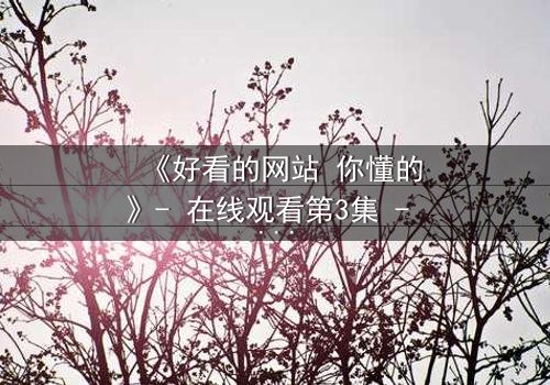 《好看的网站 你懂的》- 在线观看第3集 - 揭开隐藏的真相