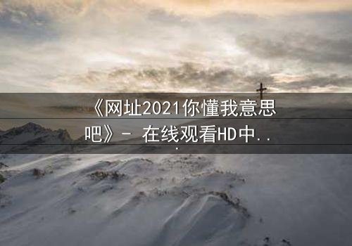 《网址2021你懂我意思吧》- 在线观看HD中字完整无删 - 揭开网络迷局背后的致命真相