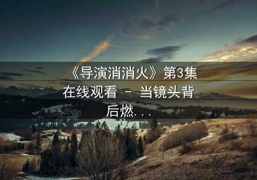 《导演消消火》第3集在线观看 - 当镜头背后燃起无法熄灭的火焰