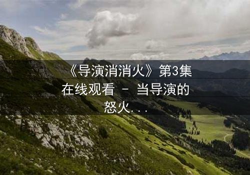 《导演消消火》第3集在线观看 - 当导演的怒火点燃,谁能扑灭这场风暴?