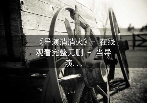 《导演消消火》- 在线观看完整无删 - 当导演的怒火点燃荧幕,谁能扑灭?