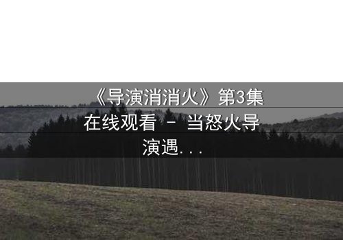 《导演消消火》第3集在线观看 - 当怒火导演遇上失控片场,谁将引爆终极风暴?