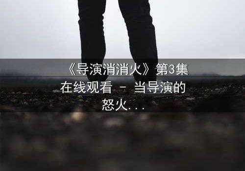 《导演消消火》第3集在线观看 - 当导演的怒火点燃,谁能扑灭这场风暴?