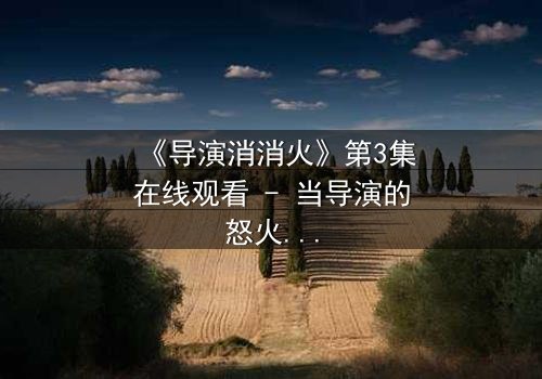 《导演消消火》第3集在线观看 - 当导演的怒火点燃,谁能扑灭这场风暴?