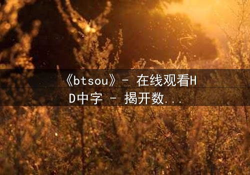 《btsou》- 在线观看HD中字 - 揭开数字迷宫的致命秘密