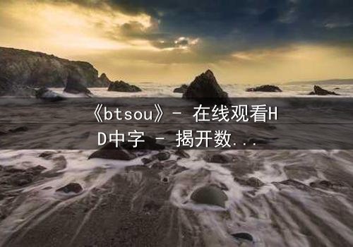 《btsou》- 在线观看HD中字 - 揭开数字迷宫的致命真相