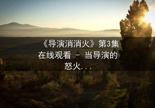 《导演消消火》第3集在线观看 - 当导演的怒火点燃,谁能扑灭这场风暴?