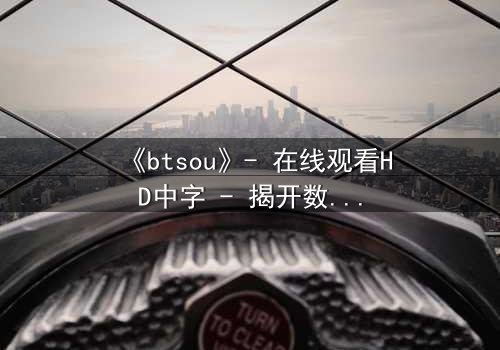 《btsou》- 在线观看HD中字 - 揭开数字迷宫的致命真相