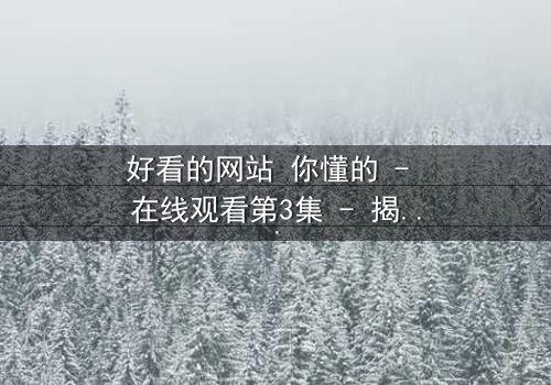 好看的网站 你懂的 - 在线观看第3集 - 揭开隐藏的真相