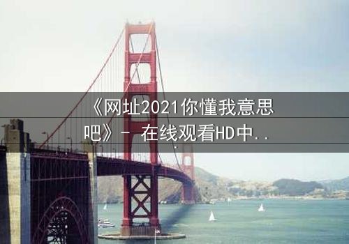 《网址2021你懂我意思吧》- 在线观看HD中字完整无删 - 揭开数字迷宫的致命秘密
