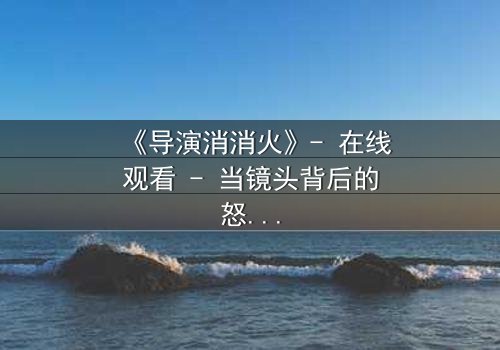 《导演消消火》- 在线观看 - 当镜头背后的怒火点燃银幕风暴