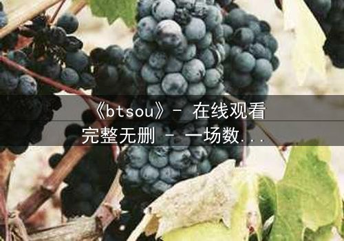 《btsou》- 在线观看完整无删 - 一场数字迷宫中的生死抉择