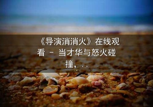 《导演消消火》在线观看 - 当才华与怒火碰撞,谁将引爆创作风暴?