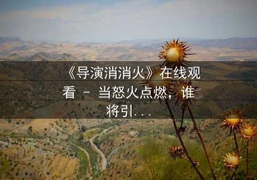 《导演消消火》在线观看 - 当怒火点燃,谁将引爆片场风暴?