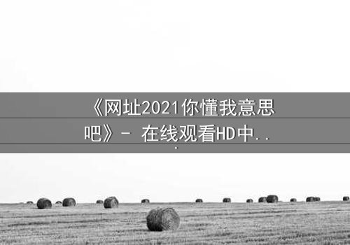 《网址2021你懂我意思吧》- 在线观看HD中字完整无删 - 一场数字世界的致命游戏
