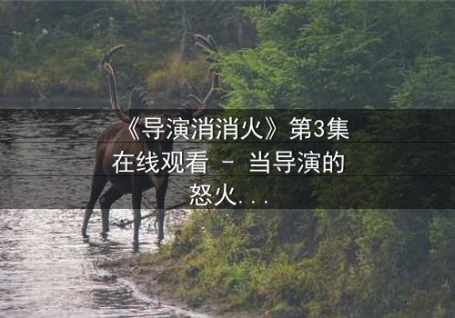 《导演消消火》第3集在线观看 - 当导演的怒火点燃,谁能扑灭这场风暴?