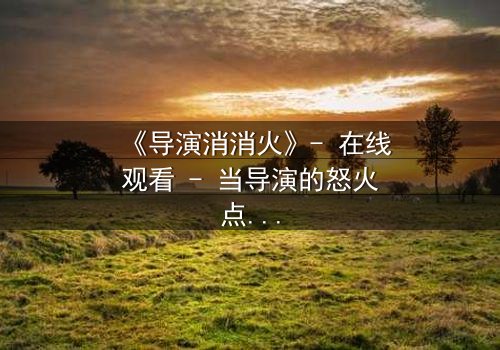 《导演消消火》- 在线观看 - 当导演的怒火点燃银幕,谁能扑灭这场风暴?