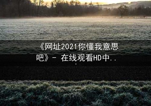 《网址2021你懂我意思吧》- 在线观看HD中字完整无删 - 一场数字迷宫的生死博弈