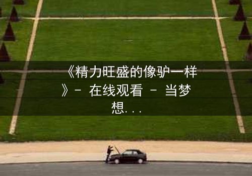 《精力旺盛的像驴一样》- 在线观看 - 当梦想与疯狂碰撞,谁能全身而退?