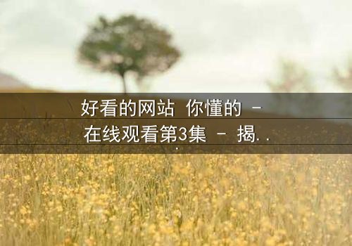 好看的网站 你懂的 - 在线观看第3集 - 揭开隐藏的真相