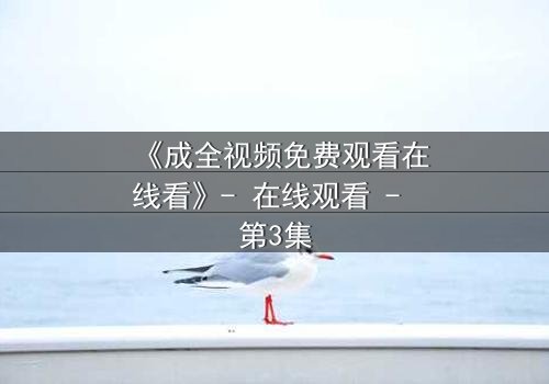 《成全视频免费观看在线看》- 在线观看 - 第3集